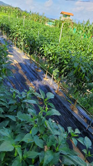 선영~~님의 요즘 무엇에 관심있나요? · 참여글 작성글 사진