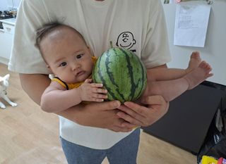 홍혜석님의 자유주제 · 자유게시판 작성글 사진