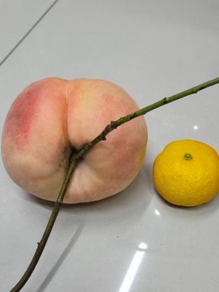 진곡댁님의 자유주제 · 자유게시판 작성글 사진