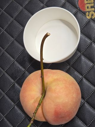 진곡댁님의 자유주제 · 자유게시판 작성글 사진