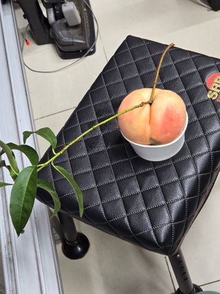 진곡댁님의 자유주제 · 자유게시판 작성글 사진