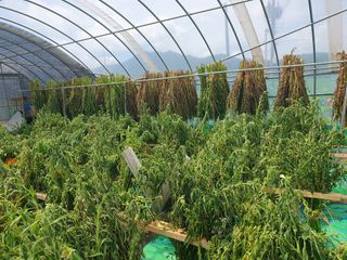 구봉갑산님의 요즘 무엇에 관심있나요? · 참여글 작성글 사진