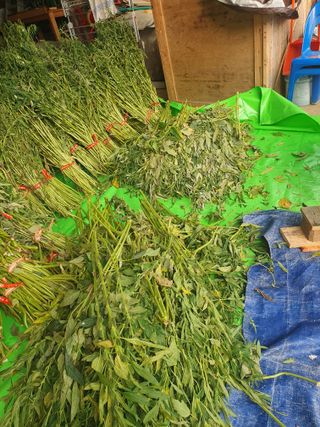 구봉갑산님의 요즘 무엇에 관심있나요? · 참여글 작성글 사진