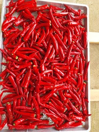 구봉갑산님의 요즘 무엇에 관심있나요? · 참여글 작성글 사진