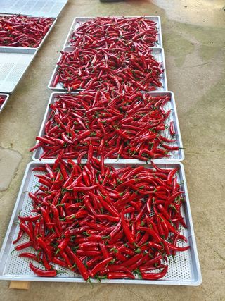 구봉갑산님의 요즘 무엇에 관심있나요? · 참여글 작성글 사진