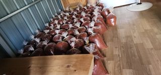 고추농사 정 미라님의 요즘 무엇에 관심있나요? · 참여글 작성글 사진