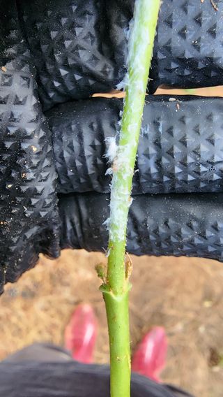 방신아님의 자유주제 · 자유게시판 작성글 사진