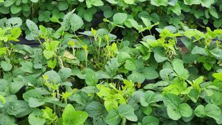 방신아님의 자유주제 · 자유게시판 작성글 사진