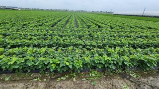 방신아님의 자유주제 · 자유게시판 작성글 사진