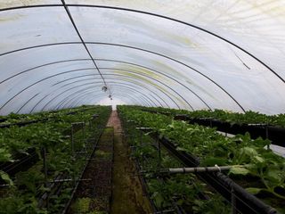 권혁태 님의 요즘 무엇에 관심있나요? · 참여글 작성글 사진