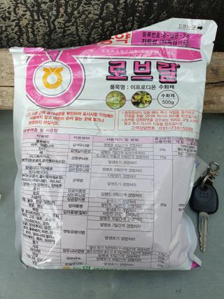 왕대추님의 요즘 무엇에 관심있나요? · 참여글 작성글 사진