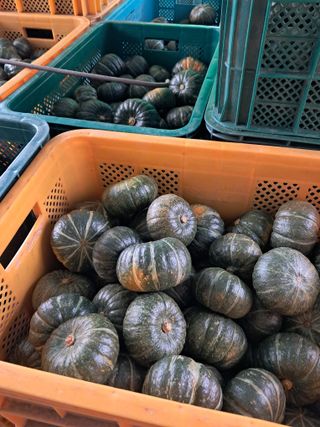 류남열님의 요즘 무엇에 관심있나요? · 참여글 작성글 사진