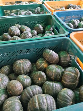 류남열님의 요즘 무엇에 관심있나요? · 참여글 작성글 사진