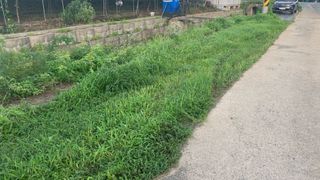 조용욱 용강농원님의 벼 · 영농일지 작성글 사진