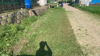 조용욱 용강농원님의 벼 · 영농일지 작성글 사진