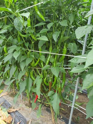 벼13921님의 요즘 무엇에 관심있나요? · 참여글 작성글 사진