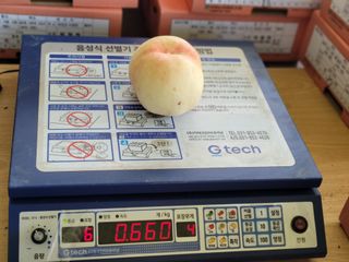 상근농원김덕주님의 복숭아 · 영농일지 작성글 사진