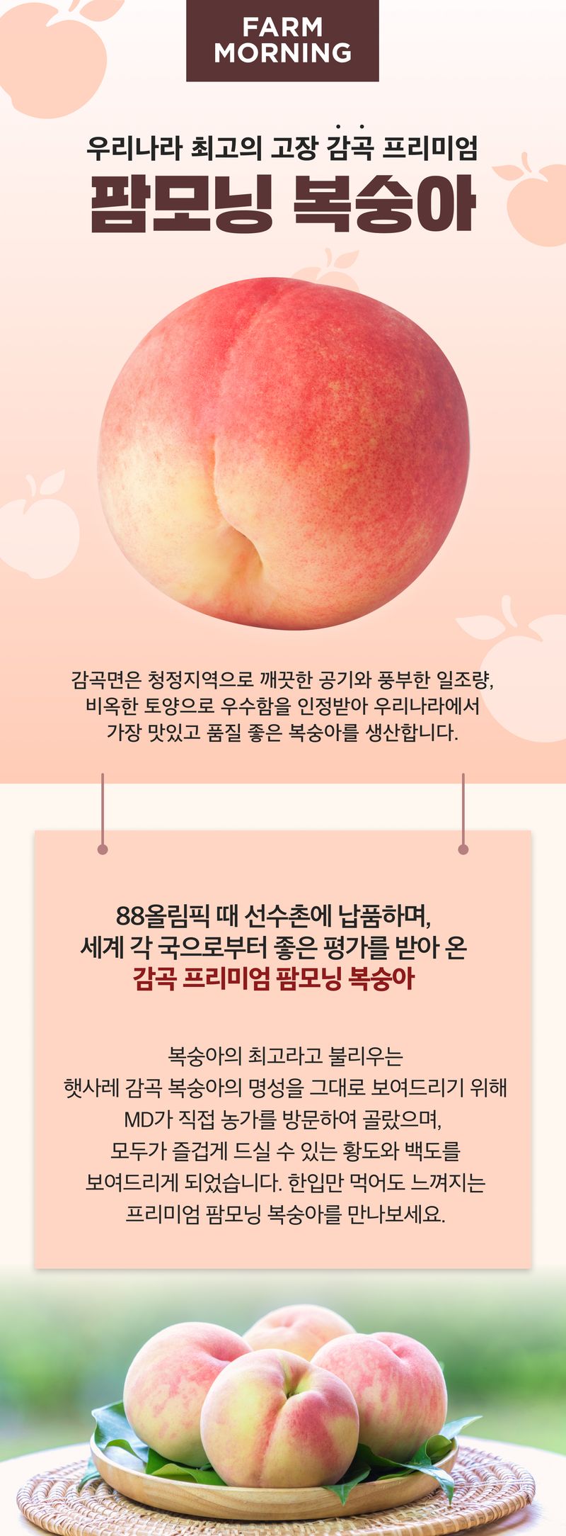 팜모닝 상점님의 장터 판매 상품 [감곡 프리미엄 팜모닝 복숭아] 첨부 사진