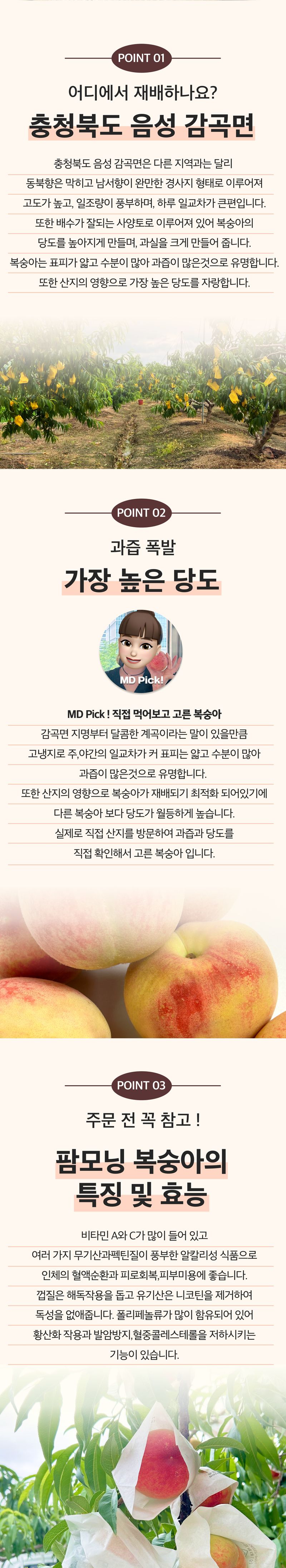 팜모닝 상점님의 장터 판매 상품 [감곡 프리미엄 팜모닝 복숭아] 첨부 사진