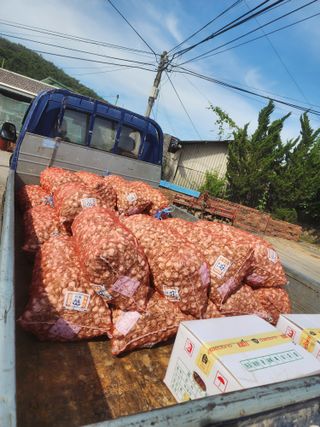 박정석님의 🧄마늘 농협 수매가 알아보기 · 참여글 작성글 사진