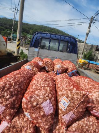 박정석님의 🧄마늘 농협 수매가 알아보기 · 참여글 작성글 사진