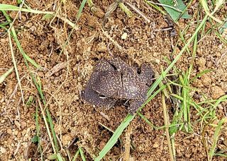 김화중님의 자유주제 · 자유게시판 작성글 사진