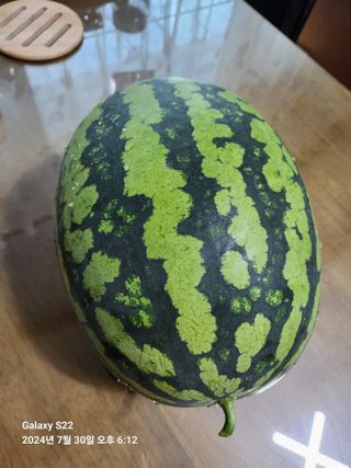 안경애님의 자유주제 · 자유게시판 작성글 사진