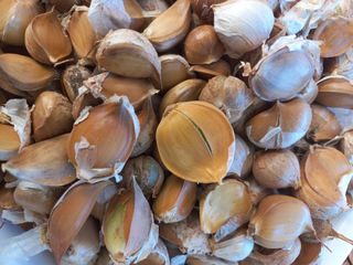 박린님의 마늘 · 영농일지 작성글 사진