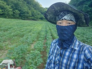 미스터션샤인님의 콩 · 영농일지 작성글 사진