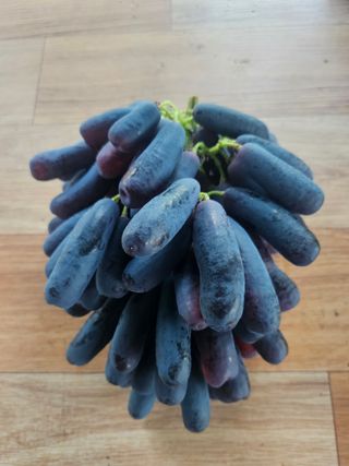 최지훈님의 자유주제 · 자유게시판 작성글 사진