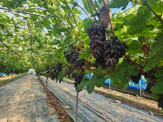 최지훈님의 자유주제 · 자유게시판 작성글 사진