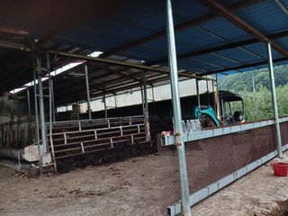 알 수 없음님의 자유주제 · 자유게시판 작성글 사진