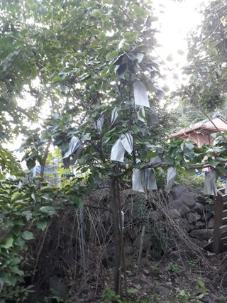 조동원님의 자유주제 · 자유게시판 작성글 사진