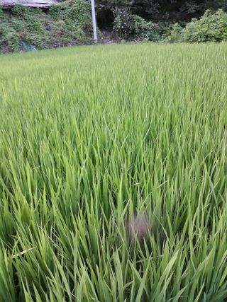 조동원님의 자유주제 · 자유게시판 작성글 사진