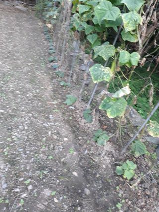 조동원님의 자유주제 · 자유게시판 작성글 사진