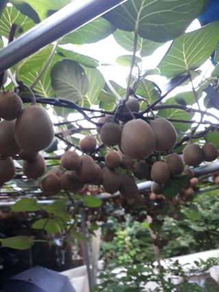 조동원님의 자유주제 · 자유게시판 작성글 사진