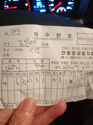 김인태님의 사과 · 수확 작성글 사진
