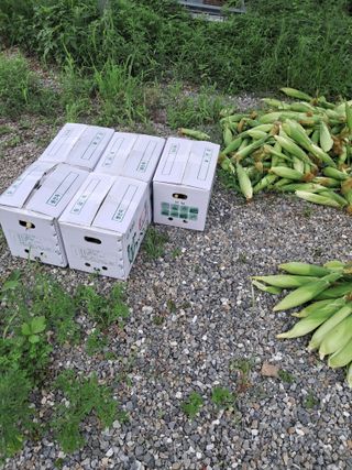 홍천.서석.안민기님의 자유주제 · 자유게시판 작성글 사진