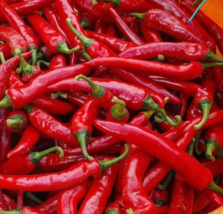 장금이1님의 장터 판매 상품 [자연 건조  고춧가루  2.5kg] 첨부 사진