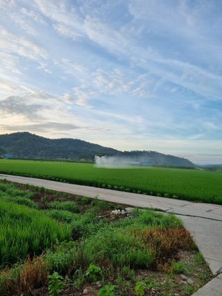 이규현님의 벼 · 영농일지 작성글 사진