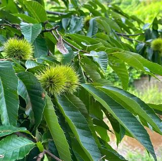 울금박사/빈덕열목사님의 자유주제 · 자유게시판 작성글 사진