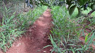 이규상님의 기타작물 · 영농일지 작성글 사진