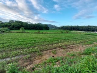 늘티님의 자유주제 · 자유게시판 작성글 사진
