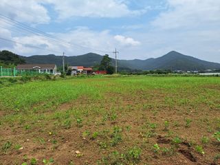 보옥농장(부부)님의 콩 · 영농일지 작성글 사진