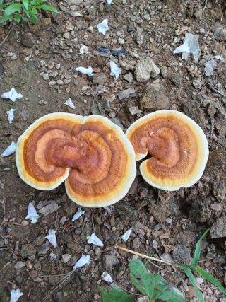 자연인님의 자유주제 · 자유게시판 작성글 사진