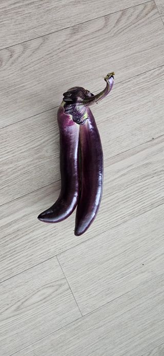 최정수님의 자유주제 · 사진전 작성글 사진