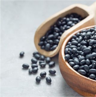 대산농사대장님의 콩 · 자유게시판 작성글 사진