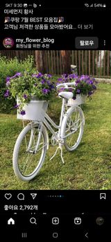 팜모닝 자유주제·자유게시판 게시글 이미지