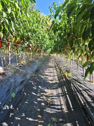 희원님의 자유주제 · 자유게시판 작성글 사진