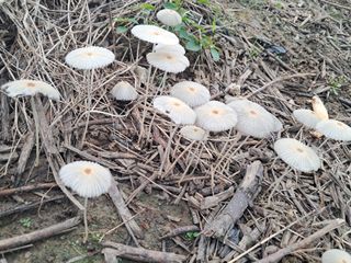 작은정원 박기석님의 자유주제 · 자유게시판 작성글 사진